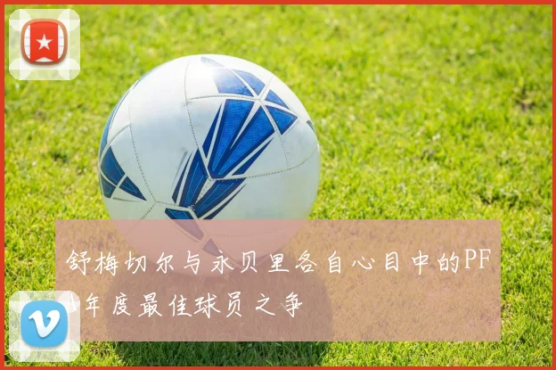 舒梅切尔与永贝里各自心目中的PFA年度最佳球员之争